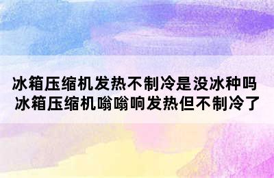 冰箱压缩机发热不制冷是没冰种吗 冰箱压缩机嗡嗡响发热但不制冷了